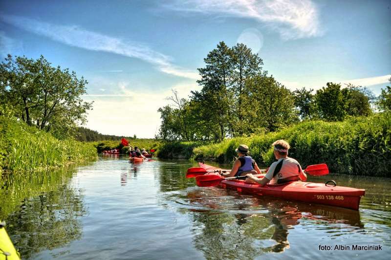 spływ kajakowy rzeka 2