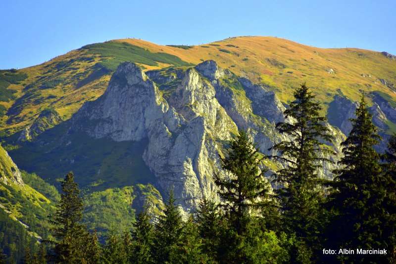 Kopa Kondracka i Wyżnia Kondracka Przełęcz 3