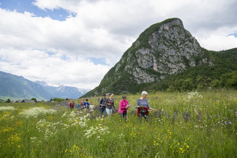 Mojca_Odar_festival_cvetja