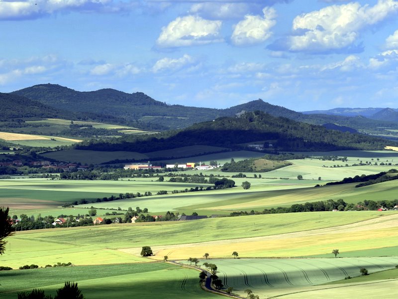 Rana Czeska Kraina Wygasłych Wulkanów