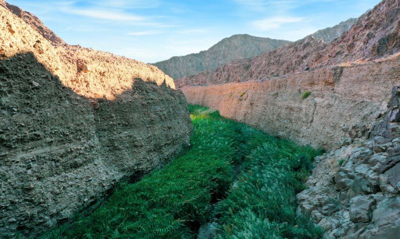 Wadi Wurayah w ZEA