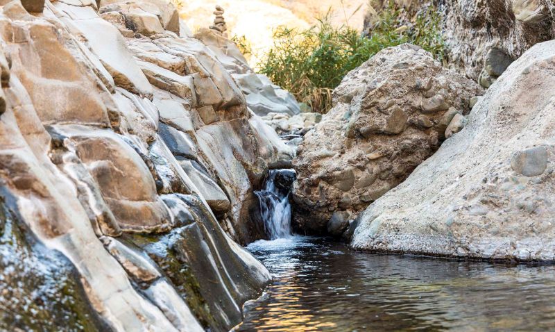 Wadi Wurayah w ZEA