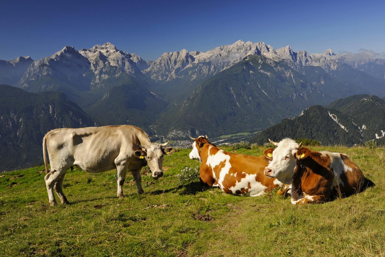 raj między górą Triglav a górami Karavanke