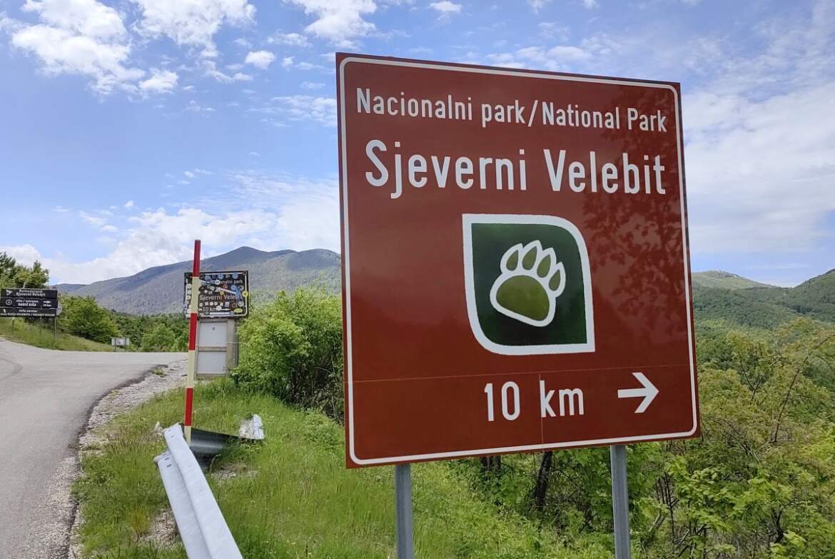 sprawdzony sposób na niedźwiedzie