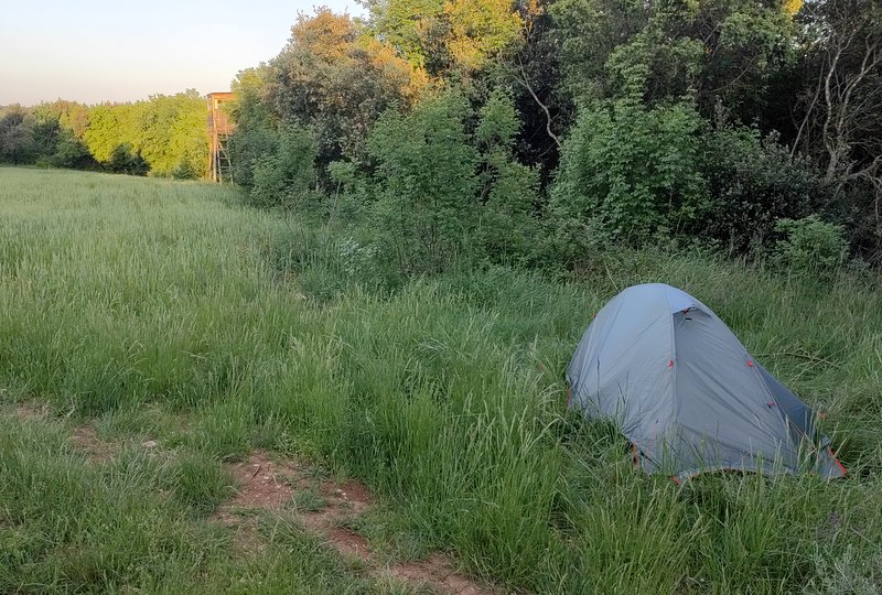 wędrówka z plecakiem - sprawdzony sposób na niedźwiedzie 