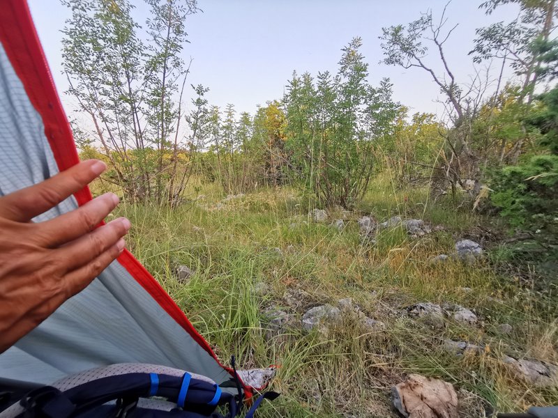 wędrówka z plecakiem - sprawdzony sposób na niedźwiedzie 