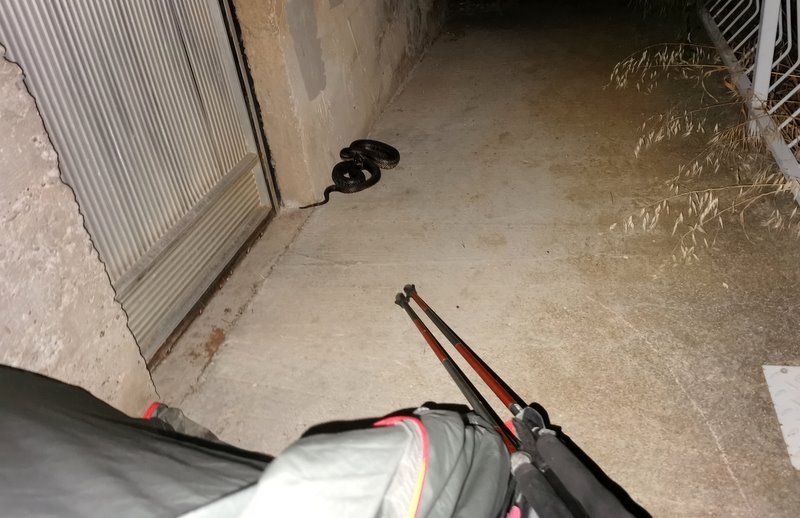 wędrówka z plecakiem - sprawdzony sposób na niedźwiedzie 