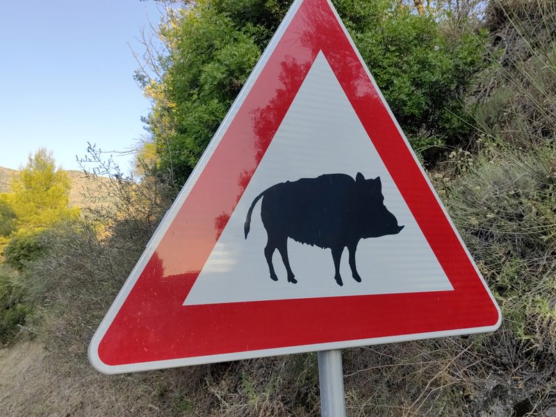 wędrówka z plecakiem - sprawdzony sposób na niedźwiedzie 